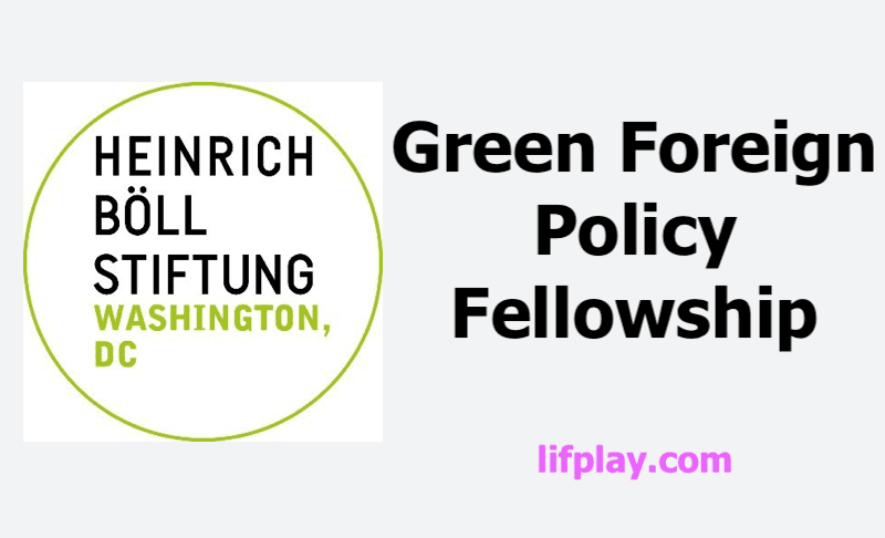 Green Foreign Policy Fellowship 2025/2026 - €6,000 (gross)
